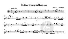Melodies for Pleasure 