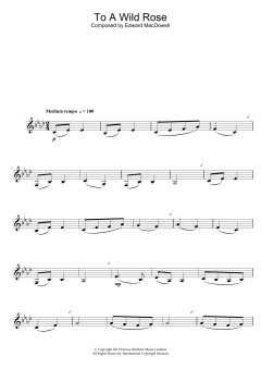 To A Wild Rose von Edward MacDowell (Download) 