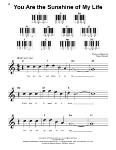 You Are The Sunshine Of My Life von Stevie Wonder (Download) 