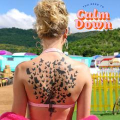 You Need To Calm Down von Taylor Swift (Download) 
