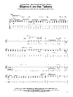 Blame It On The Tetons von Modest Mouse (Download) 