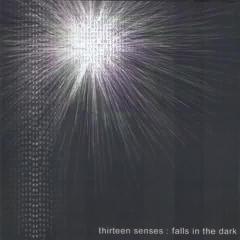 Do No Wrong von Thirteen Senses (Download) 