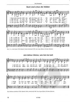 Der kleine Chor (Jürgen Pfiester) 