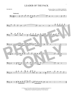 Leader Of The Pack (Download) 