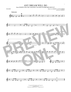 Any Dream Will Do (Download) 