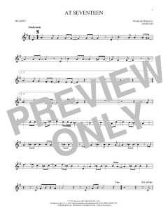 At Seventeen (Download) 