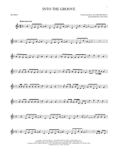 Into The Groove (Download) 