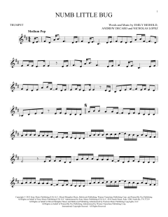 Numb Little Bug (Download) 