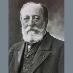 The Swan (Download) 