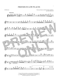 Friends In Low Places (Download) 