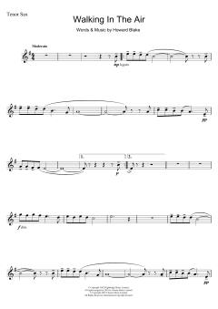 Walking In The Air (Download) 