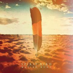 Follow The Sun (Download) 