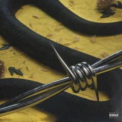 Rockstar (Download) 