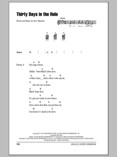 Thirty Days In The Hole (Download) 
