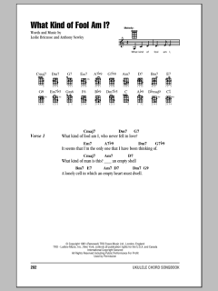 What Kind Of Fool Am I? (Download) 