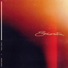 Señorita von Ben Levin (Download) 