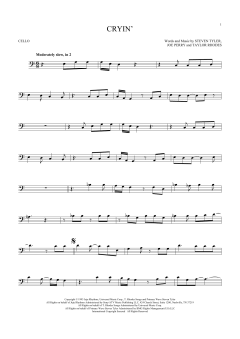 Cryin' von Aerosmith (Download) 