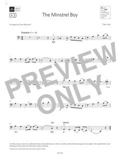 The Minstrel Boy von Trad. Irish (Download) 
