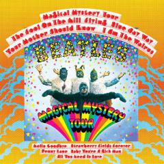 The Fool On The Hill von The Beatles (Download) 