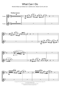 What Can I Do von The Corrs (Download) 