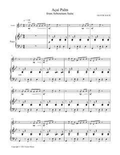 AÃ§ai Palm von Oliver Davis (Download) 