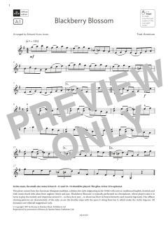 Blackberry Blossom von Trad. American (Download) 
