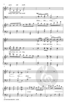 As Winter Begins von Douglas E. Wagner (Download) 