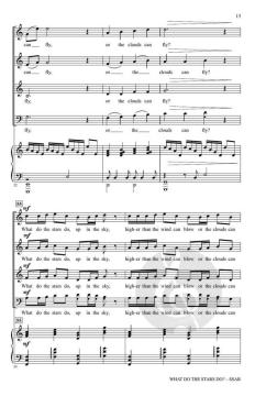 What Do the Stars Do? von Bruce W. Tippette (Download) 