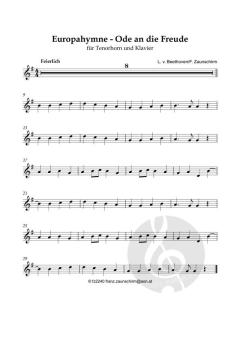 Europahymne - Ode an die Freude von Ludwig van Beethoven (Download) 