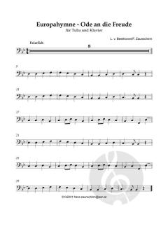 Europahymne - Ode an die Freude von Ludwig van Beethoven (Download) 