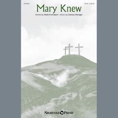 Mary Knew von Joshua Metzger (Download) 
