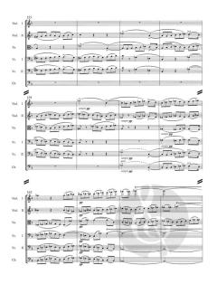 Aus Böhmens Hain und Flur von Bedrich Smetana (Download) 