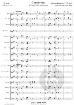 Concertino for English Horn von Gaetano Donizetti (Download) 