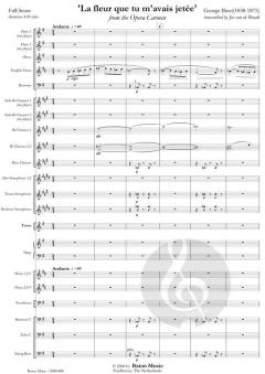 La fleur que tu m'avais jetee von Georges Bizet (Download) 