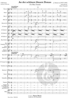 An der schönen blauen Donau von Johann Strauss (Sohn) (Download) 