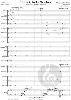 O du mein holder Abendstern from The Opera Tannhäuser (Richard Wagner) 