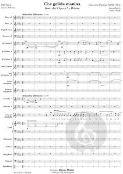 Che gelida manina from The Opera La Boheme von Giacomo Puccini (Download) 