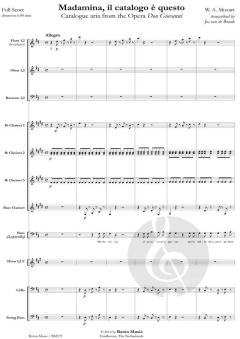 Madamina, il catalogo è questo von Wolfgang Amadeus Mozart (Download) 