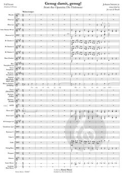 Genug damit, genug! von Johann Strauss (Sohn) (Download) 
