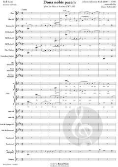 Dona nobis pacem von Johann Sebastian Bach (Download) 
