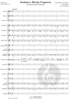Andante e Rondo Ungarese von Carl Maria von Weber (Download) 