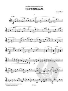 2 Cadenzas von David Braid 