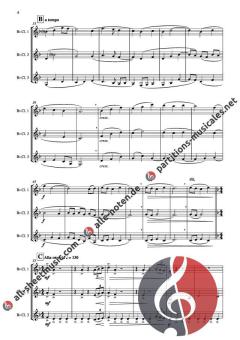 Out of the Shire von Peter J. Pecora (Download) 