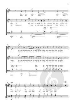Geheimnis der Dämmerung von Reena Esmail (Download) 