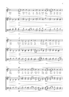 Um Mitternacht im Sternenglanz von Valerie Capers (Download) 