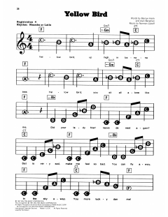 Yellow Bird von Alan Bergman (Download) 