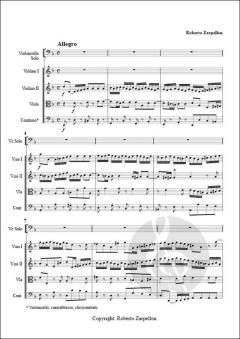 The Bach's Cello Concerto, in d minor von Roberto Zarpellon 