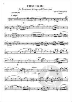 Concerto von David Fontanesi 