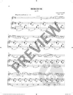 Sheila M. Nelson's Romantic Violinist 