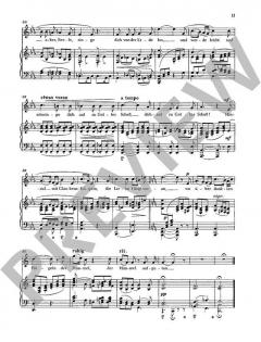 Sämtliche Lieder mit Klavierbegleitung Band 1 von Hans Pfitzner 